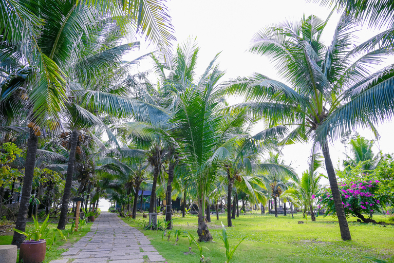 Others 2, LA PAIR BOUTIQUE Resort Phan Thiet, Hàm Thuận Nam