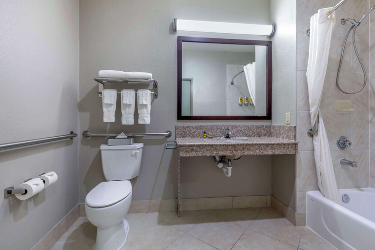 Bathroom 5, Best Western Plus Mansfield Inn & Suites, Tarrant