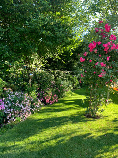 Surrounding environment 2, Pension Low, Solingen