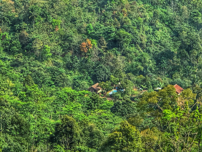 Scenery 1