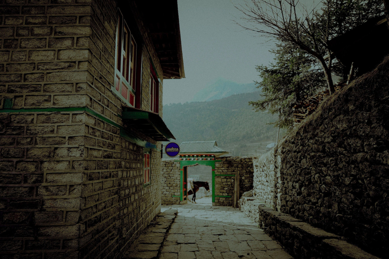 Exterior & Views 2, Panorama Lodge and Restaurant, Sagarmatha