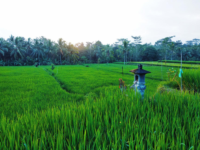 Scenery 5