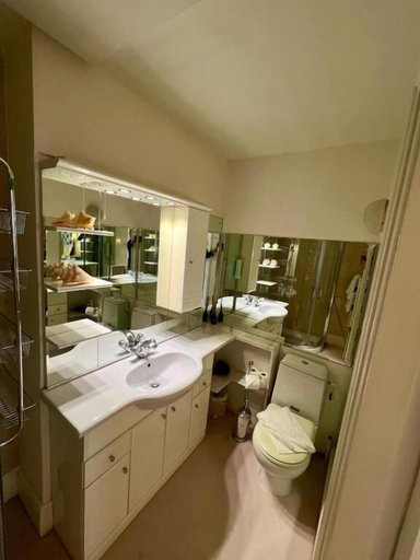 Bathroom 3, Burlington Townhouse, Dublin