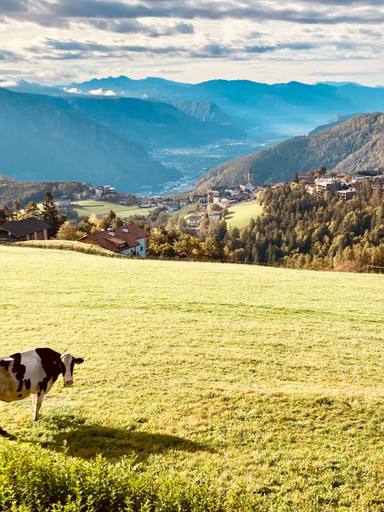Others 4, Rempphof, Bolzano