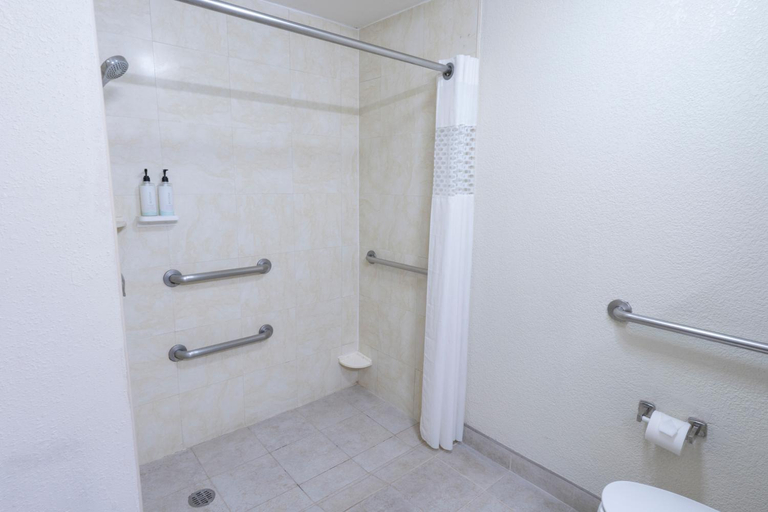 Bathroom 4, Hampton Inn by Hilton Guadalajara - Airport, El Salto