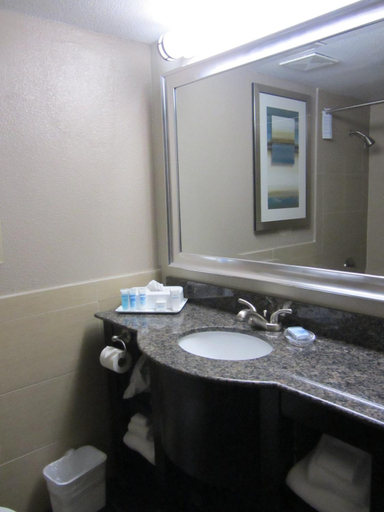 Bathroom 4, Wyndham Garden Midland, Midland