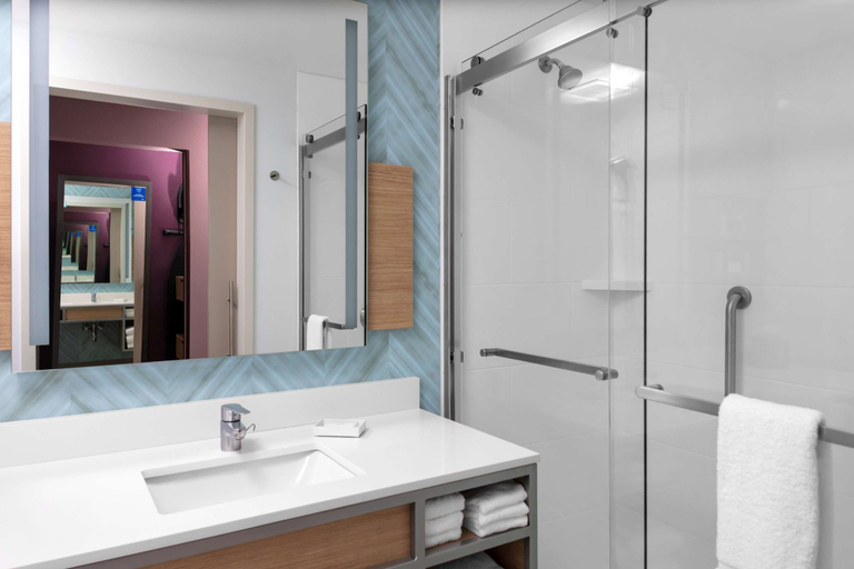 Bathroom 4, Hilton Garden Inn Ocala Downtown, Marion