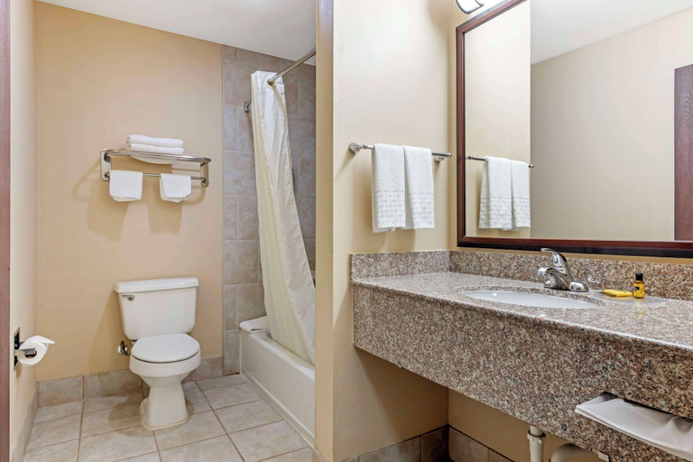 Bathroom 5, Best Western Plus Burleson Inn & Suites, Johnson