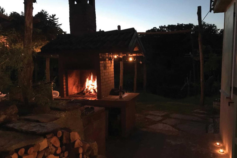 Others 3, Il Vigneto Sul Lago Vineyard Lake View, Varese