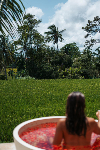 Swimming Pool 7