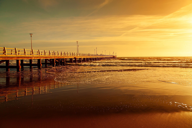 Others 5, La Suite 2 Ondina Viareggio 200m From sea, Lucca