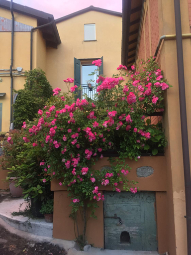 Others 4, B&B Monte Donato, Bologna