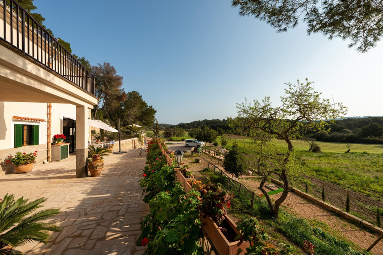 Room 2, Eco Finca Can Alegria With Pool, Baleares