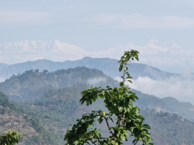 Others 5, BuRANSH VILLA, Champawat