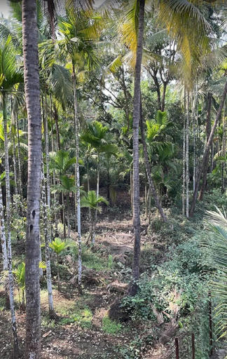 Others 5, lLIF 2761 CHINTAMANI RESORT , Raigarh
