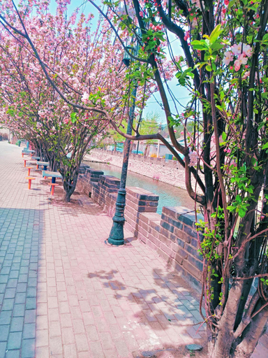 Others 5, Gubeikou Great Wall Juxianju Homestay, Beijing