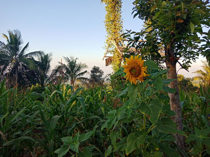Scenery 9