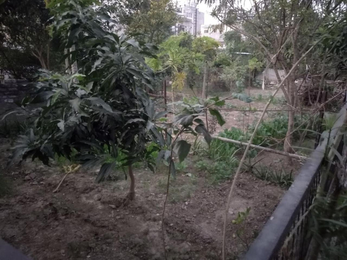 Others 5, Videep house, Kanpur Nagar