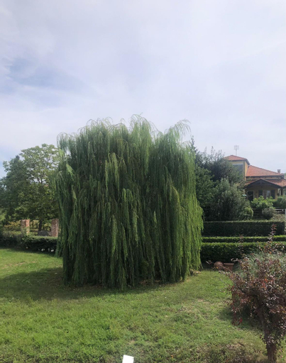 Exterior & Views 4, Casa dei Giardini B&B, Cuneo