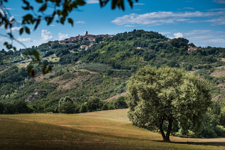 Room 2, Tuscan Sun With Shared Pool, Siena