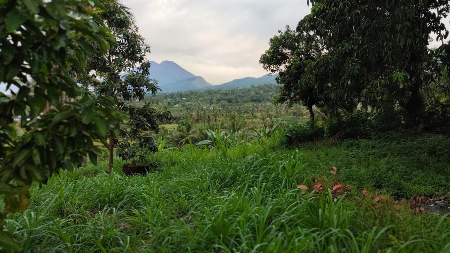 Scenery 2