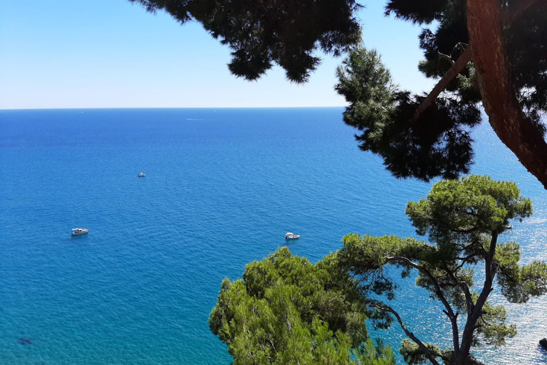 Room 3, Il Suono del Mare 200 mt From sea, Imperia