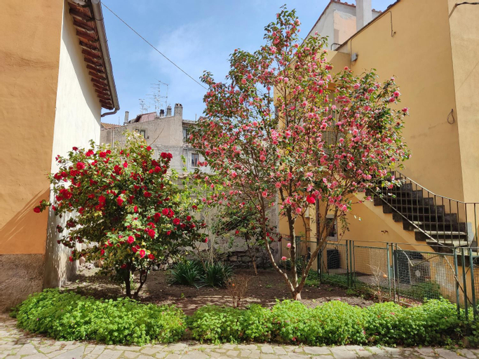 Il Giardino delle Camelie, Viterbo