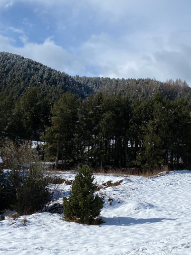 3, chalet au pieds des pistes le cambre aze, Pyrénées-Orientales