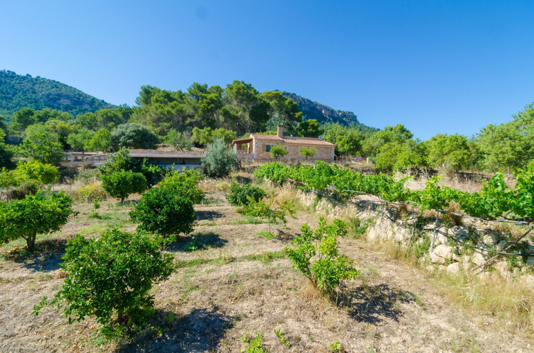 Room 3, S Aresta Den Rumbet in Algaida, Baleares