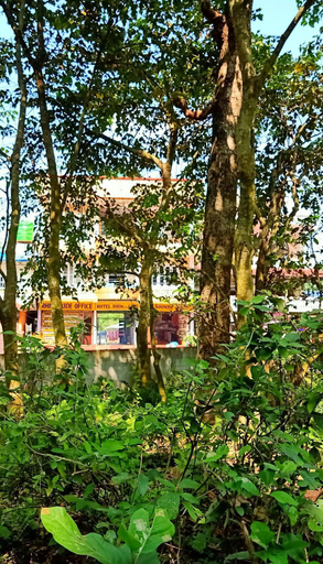 Others 5, Hotel Rhinoceros-Homestay, Narayani