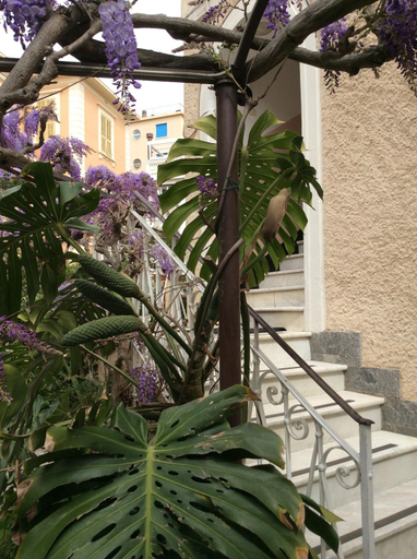 Exterior & Views 1, Hotel Fiorenza & Banksia Meuble, Savona