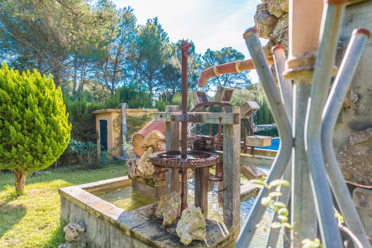 Others 2, Els Pins in Sa Pobla, Baleares