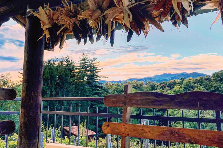 Others 5, Il Vigneto Sul Lago Vineyard Lake View, Varese