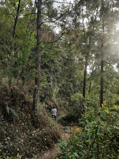 Others 3, BuRANSH VILLA, Champawat
