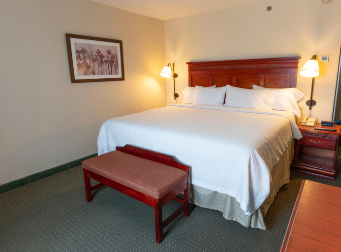 Bedroom 3, Hampton Inn by Hilton Guadalajara - Airport, El Salto