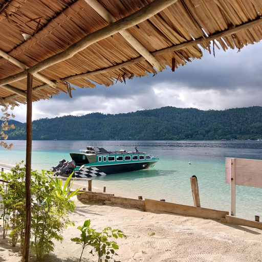 Others 2, Rental speed boat raja ampat, Raja Ampat