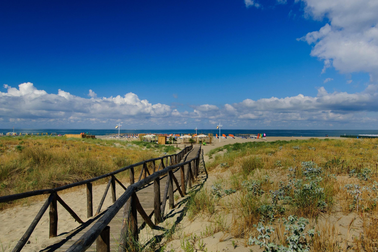 Others 2, La Suite 2 Ondina Viareggio 200m From sea, Lucca
