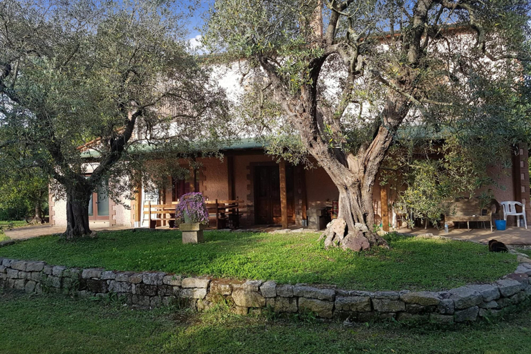 Room 4, Tenuta Di Litiano With Pool, Grosseto