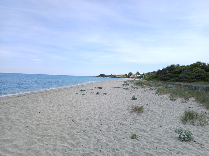 Others 5, Les Hauts Du Maquis, Haute-Corse