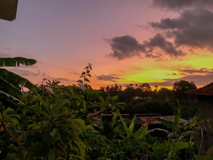 Scenery 16