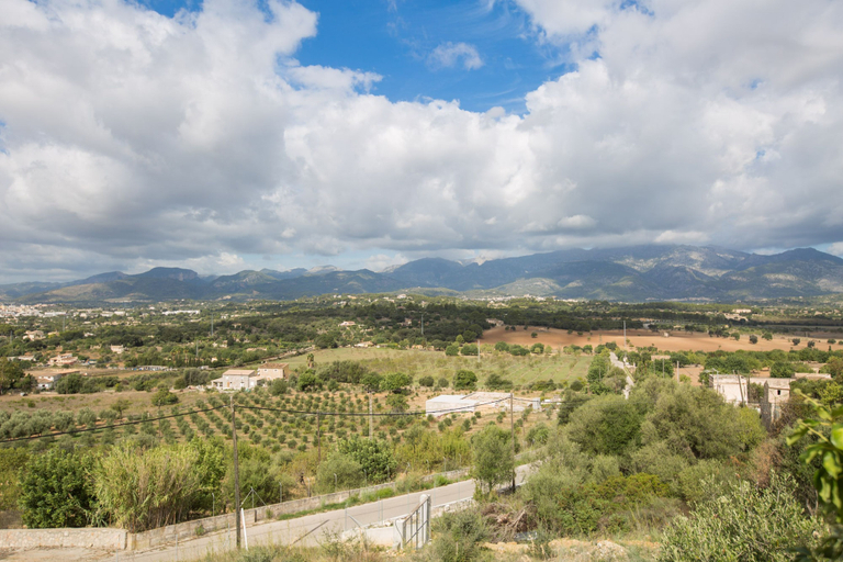 Room 5, Can Moscari in Inca With 3 Bedrooms and 2 Bathrooms, Baleares