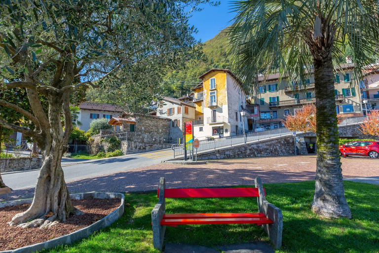 Exterior & Views 2, Red View Apartment in Ronco Sopra Ascona Ascona, Locarno