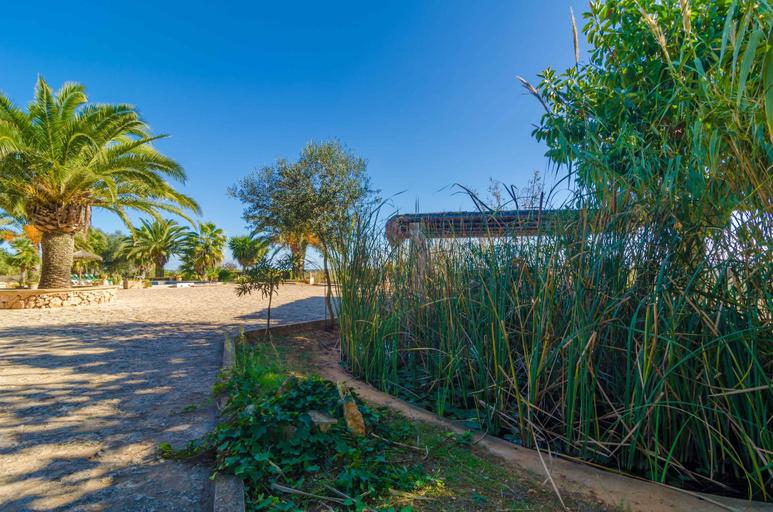 Room 3, Es Tur in Santany, Baleares
