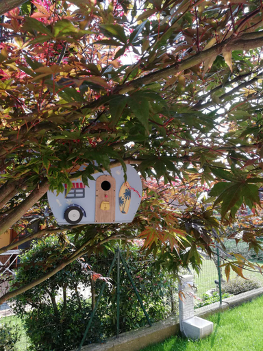 Others 5, ACERO ROSSO B&B in Franciacorta, Brescia