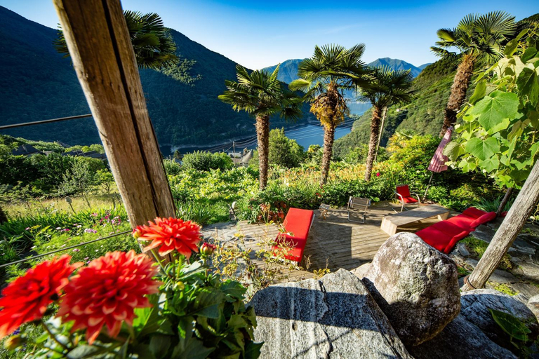 Others 2, CB-Guesthouse, Locarno