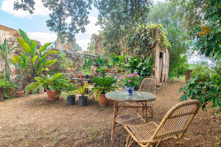 Room 5, Son Mayol 1 in Son Mesquida, Baleares