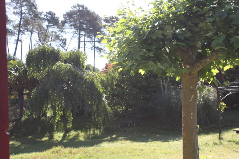 Others 4, LE GAHOUN - Chambres d'hotes, Landes