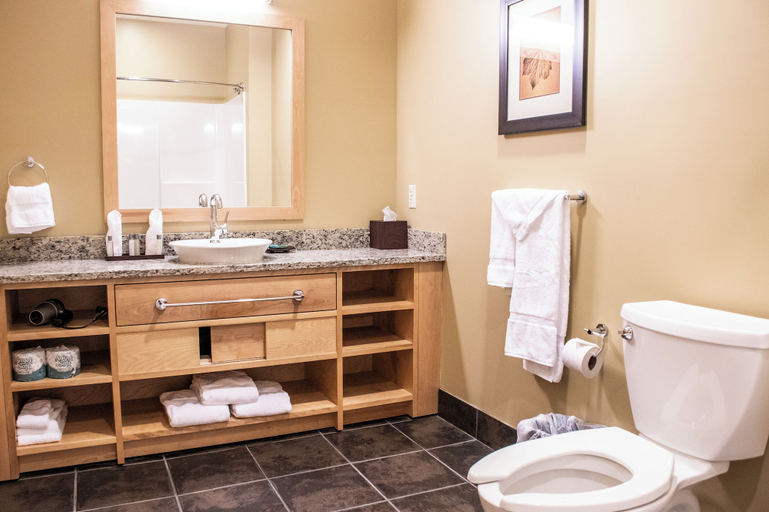 Bathroom 4, Jay Peak Resort, Orleans