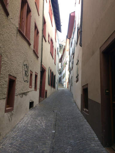 In Swiss Home - Rathaus from 1284 historical Apartment, Basel