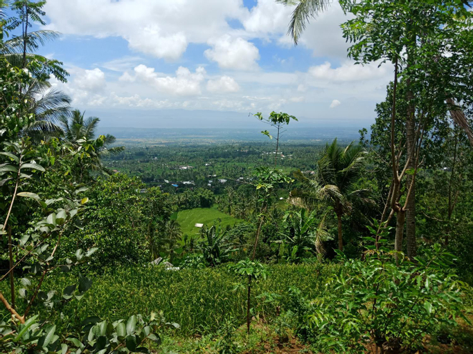 Scenery 1